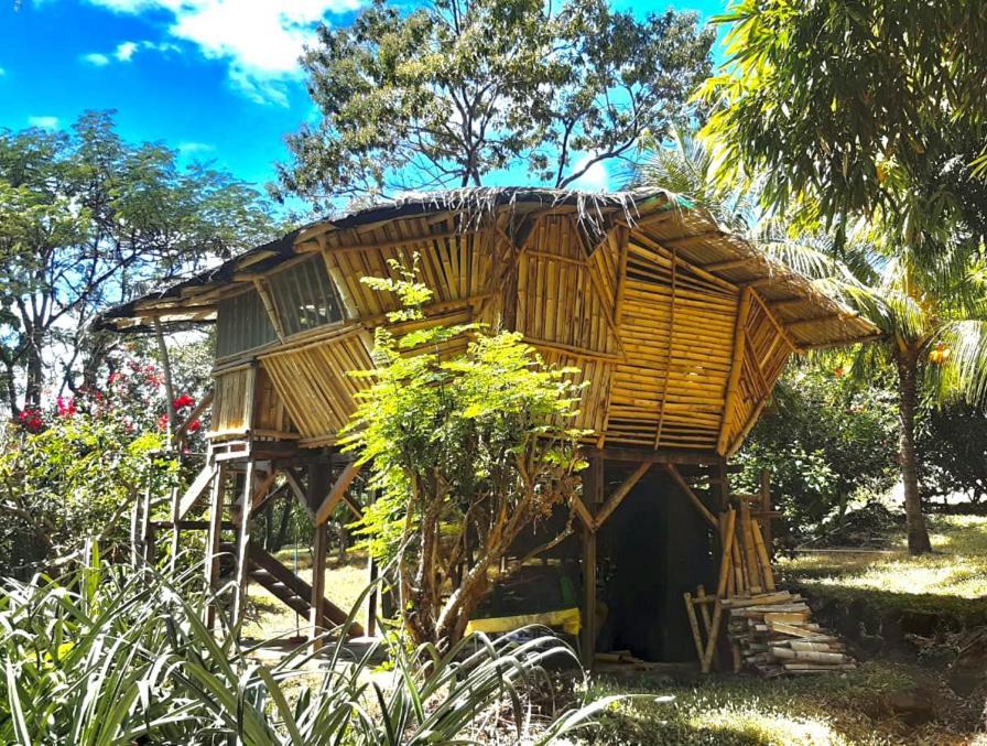 Finca La Magia Ometepe Extérieur photo