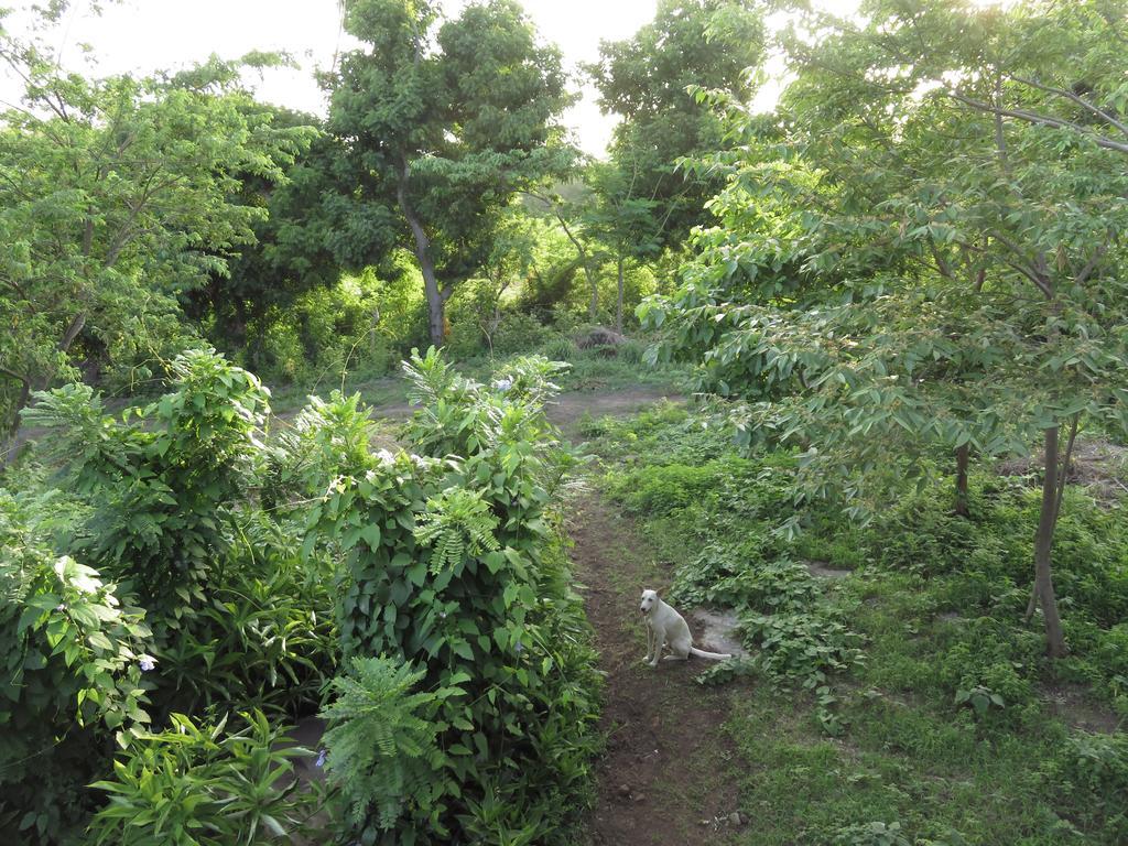 Finca La Magia Ometepe Extérieur photo